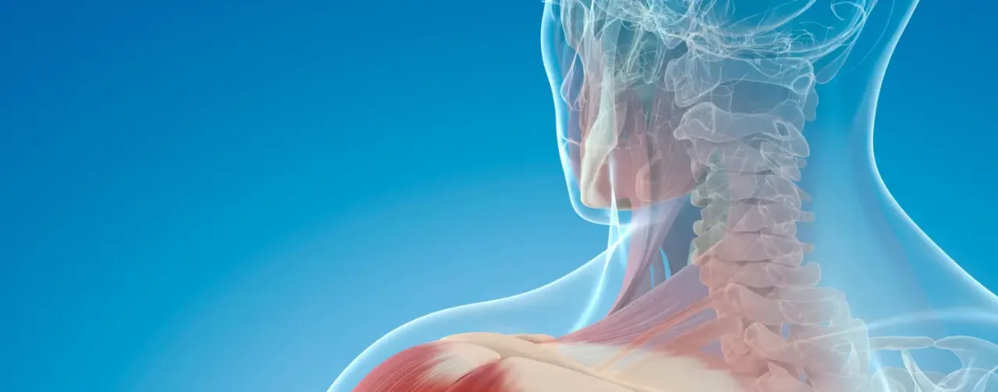 HD Osteopatía Estructural